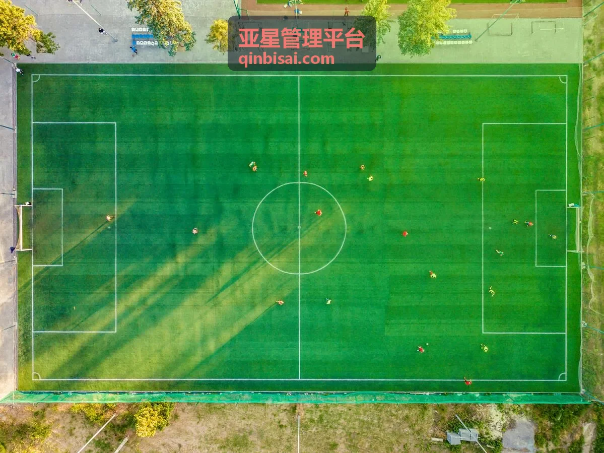 亚星管理平台零售连锁场景
